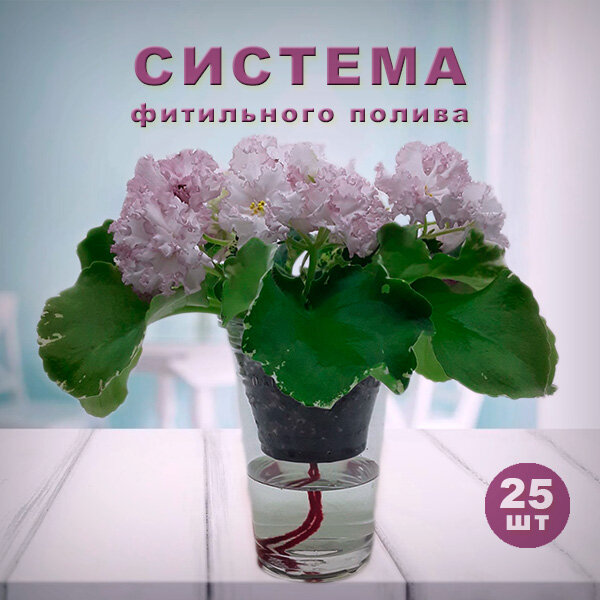 Система фитильного полива для фиалок, 25 шт.