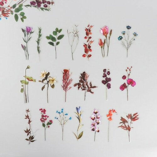 Наклейки для творчества пластик PVC Флора набор 40 шт 9х105 см 638₽