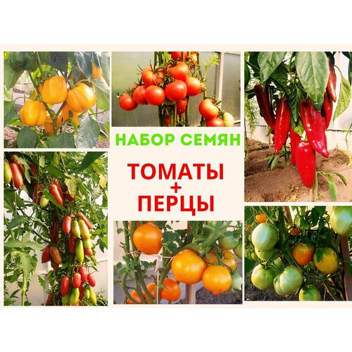 Семена томатов, семена перца сладкого, набор семян: Томаты, Перцы