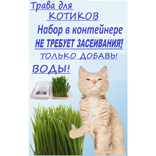 Трава для кошек_Готовый агробрикет с семенами в лотке_Без сора и запаха_