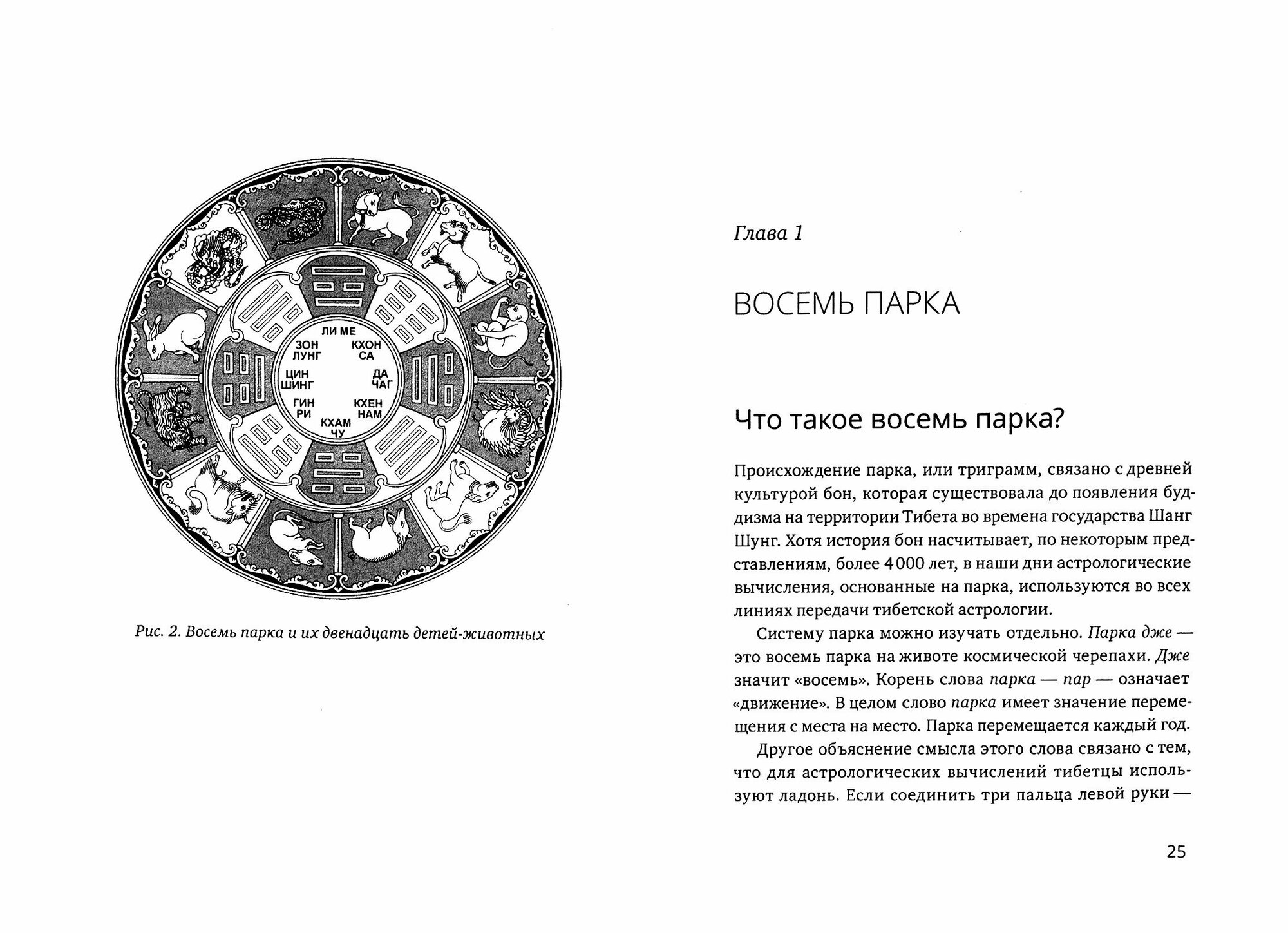 Тибетская астрология и психология личности. Книга 2: Тайны рождения - фото №12