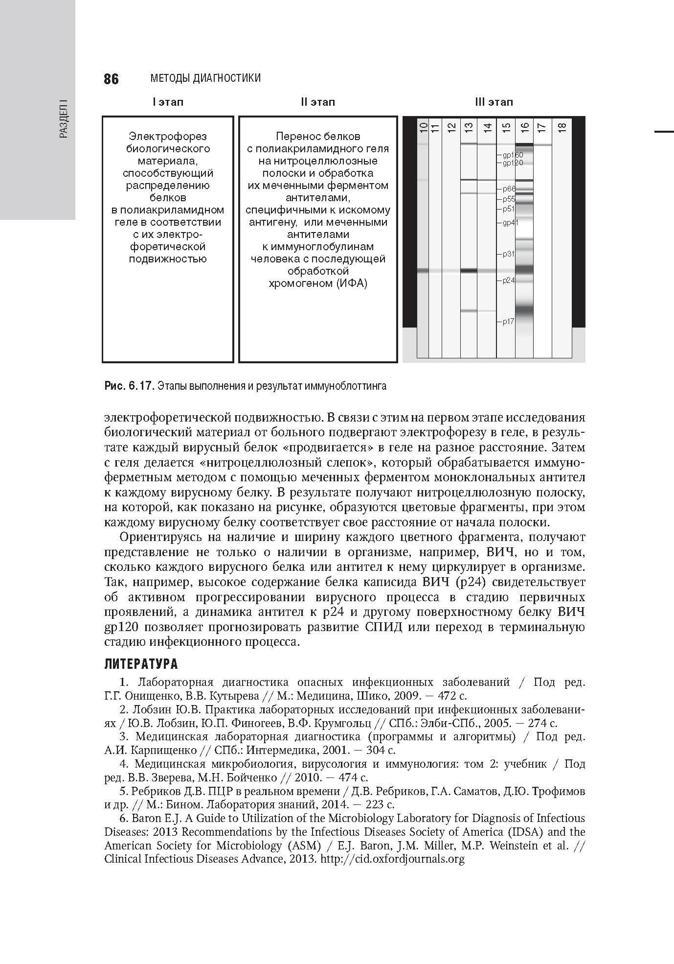 Книга Инфекционные болезни (Ющук Николай Дмитриевич; Авдеева Марина Геннадьевна; Венгеров Юрий Яковлевич) - фото №4