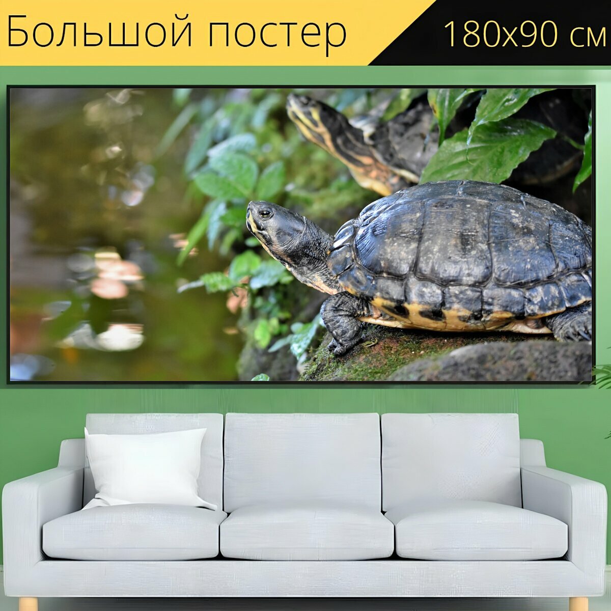 Большой постер "Черепаха, воды черепаха, рептилия" 180 x 90 см. для интерьера