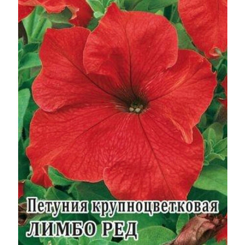 Семена Петуния крупноцветковая Лимбо Ред, 100шт, Гавриш, Цветы для профессионалов