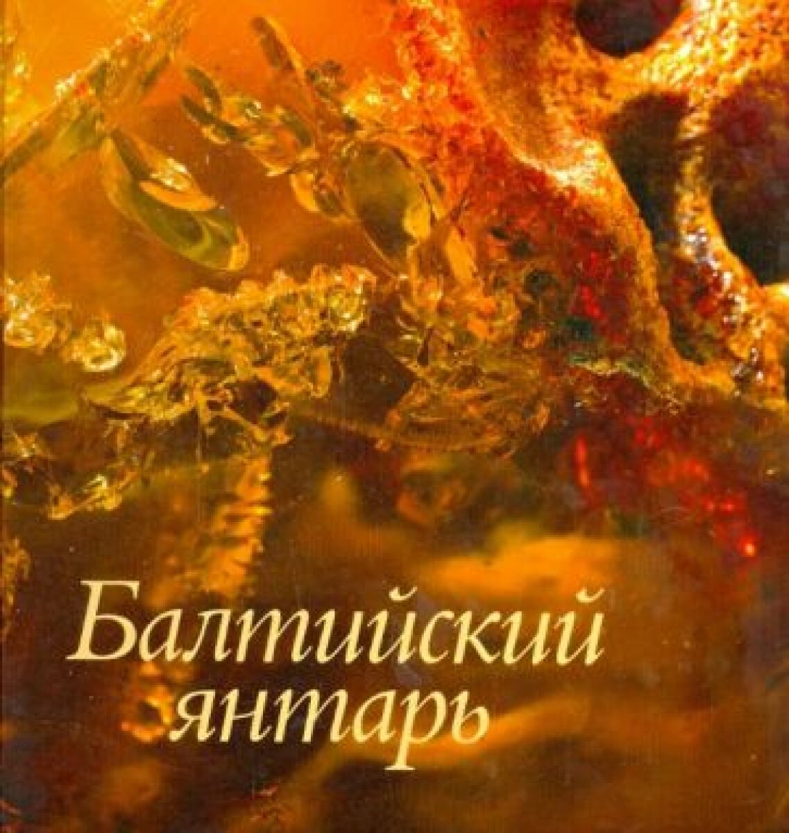 Балтийский янтарь. Альбом (Торопова И. А., Суворова Татьяна Юрьевна) - фото №6