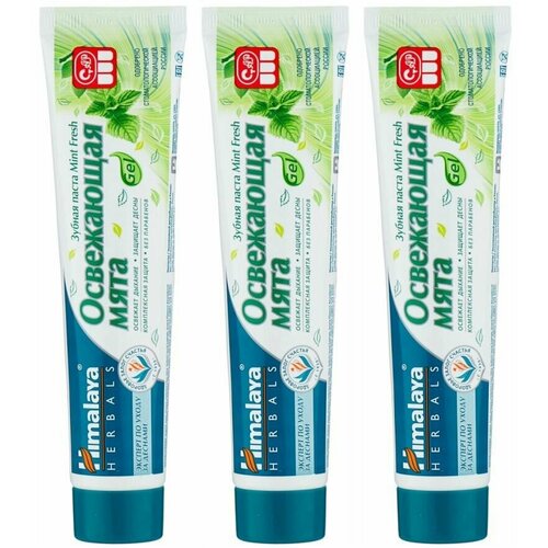 Himalaya Herbals Зубная паста Mint Fresh, Освежающая Мята, 75 мл, 3 шт уход за полостью рта himalaya since 1930 паста зубная освежающая мята mint fresh