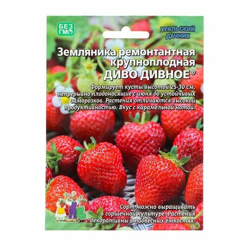 Семена кабачок диво дивное уд 10 шт цв п