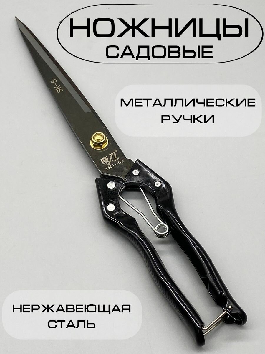 фото Секаторы welcome shop желтый