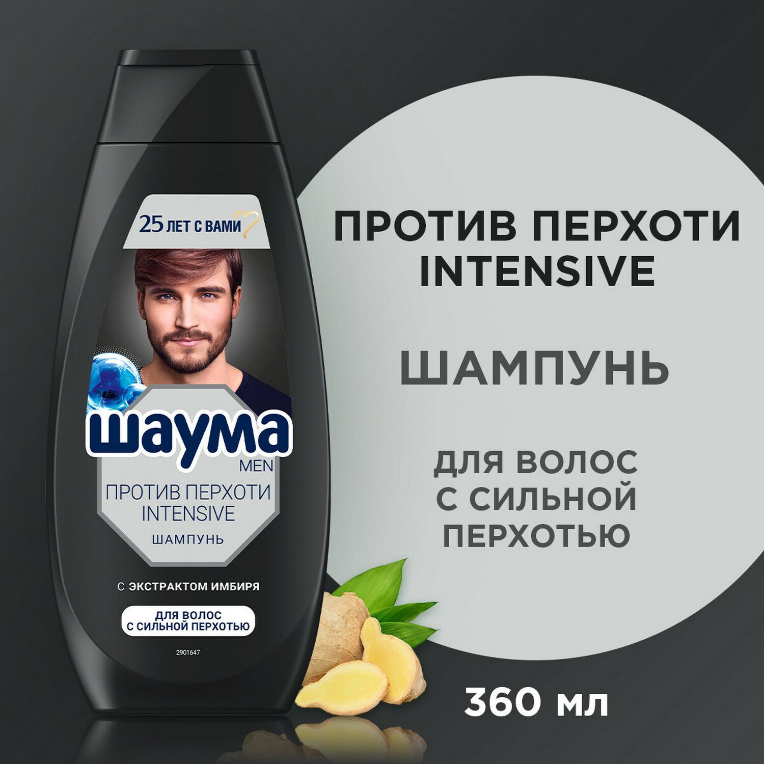 Шаума Шампунь для волос Men Против перхоти мужской Intensive, 360 мл - 1 шт