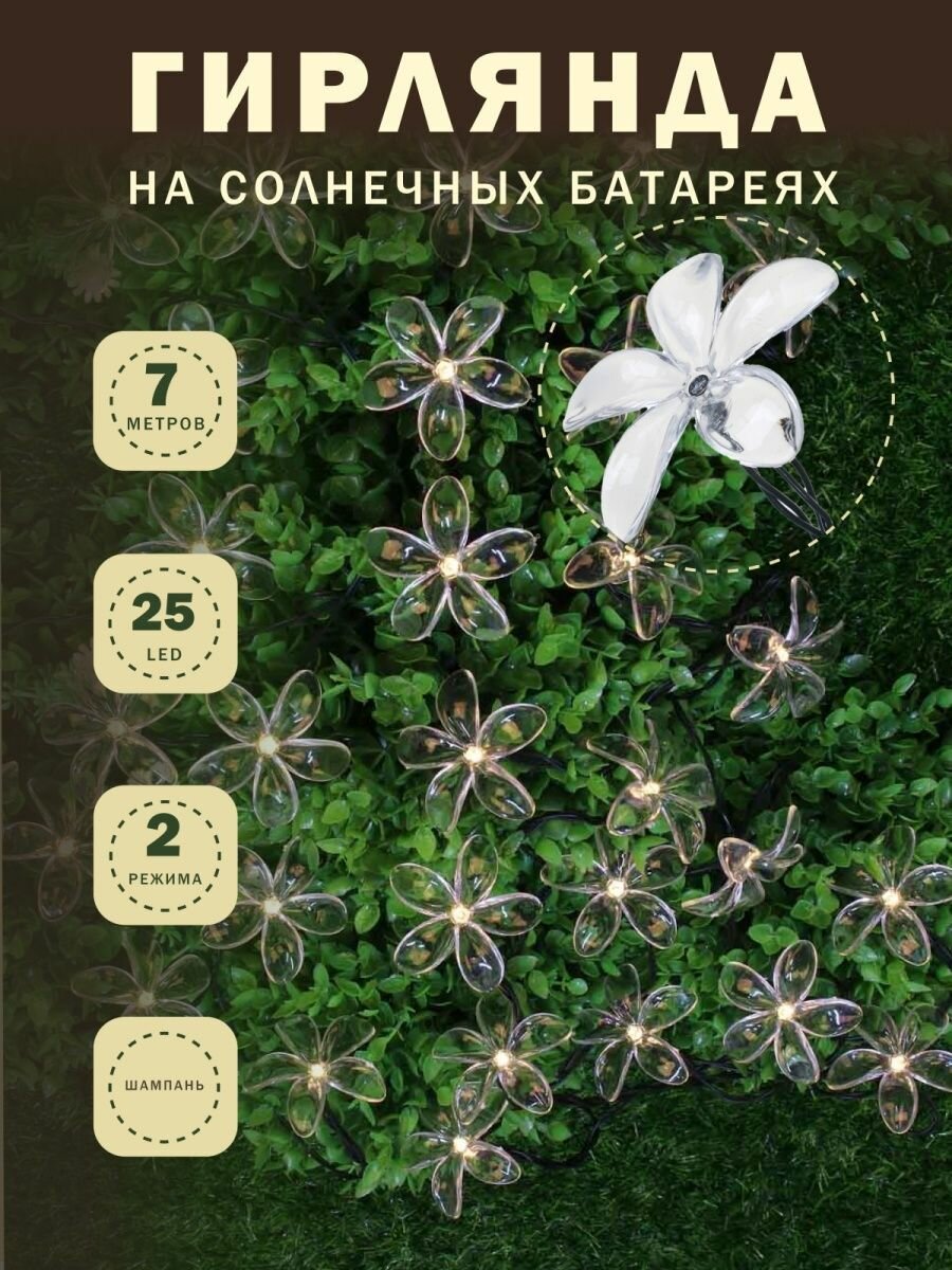 INBLOOM Гирлянда на солн. батарее, 25LED, 7м, шампань, 2 реж, цветок, ПВХ зел, 2V80mA, 1.2V600mAh