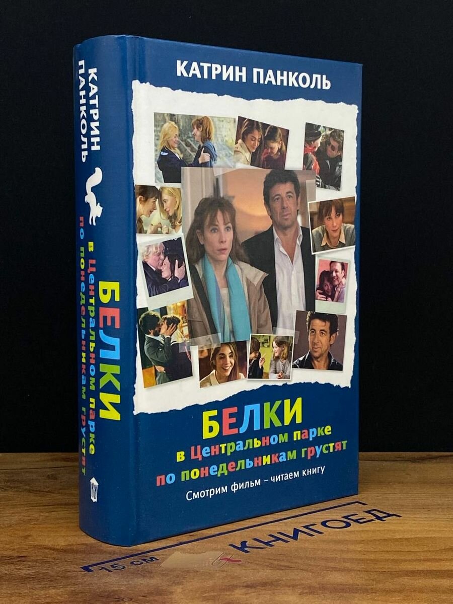 Белки в Центральном парке по понедельникам грустят - фото №4