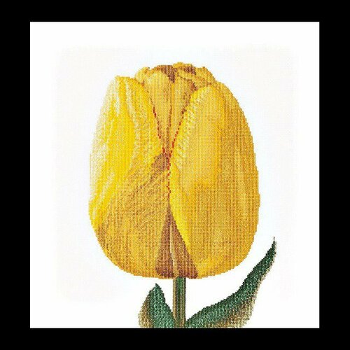Желтый тюльпан гибрид (канва) 522A
