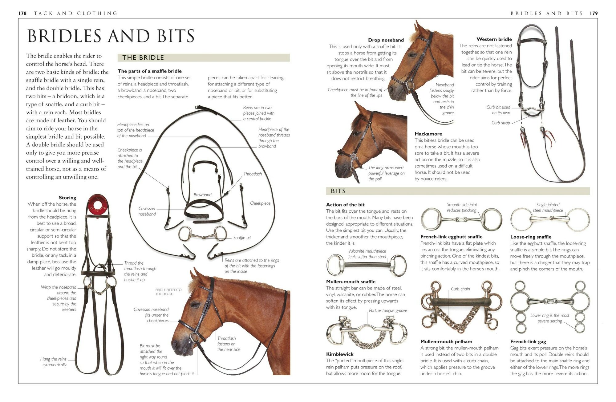 Complete Horse Care Manual (Vogel Colin) - фото №7