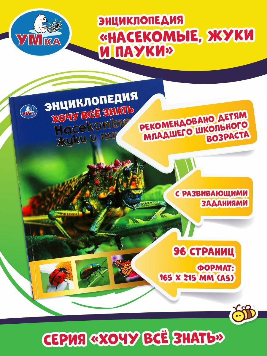 Насекомые, жуки и пауки. Хочу все знать. Энциклопедия А5. 165х215мм, 96 стр. Умка в кор.22шт - фото №8