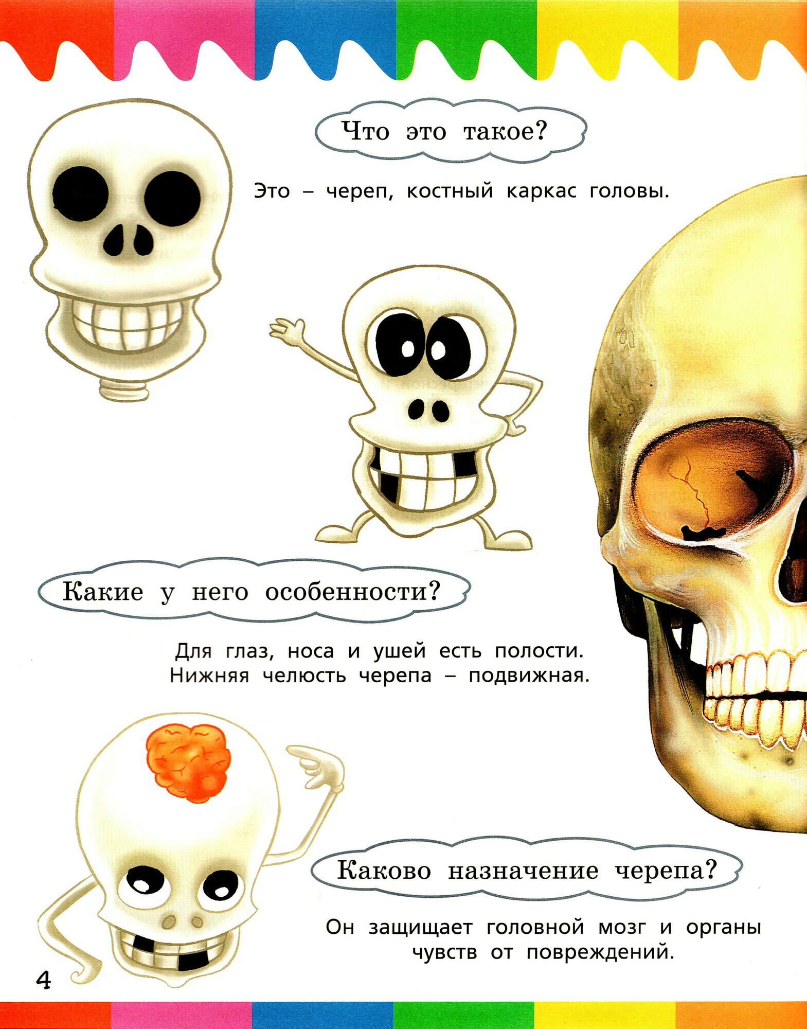 Части тела (Орехов А. А.) - фото №2