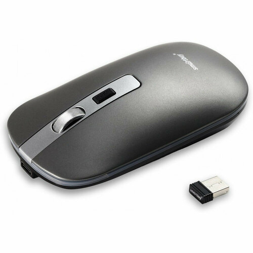 Мышь беспроводная Smartbuy SBM-402CAG-G серый металлик 99000₽