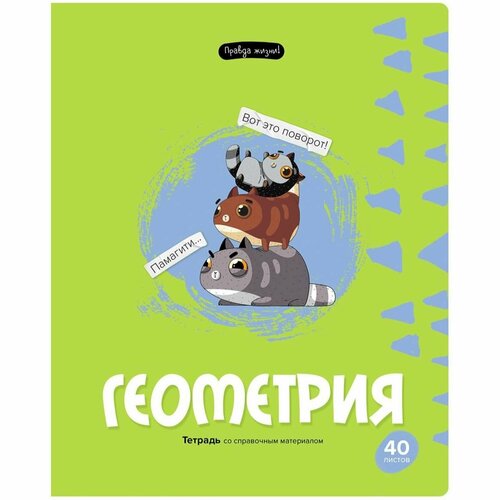 Тетрадь предметная 40 листов BG Правда жизни - Геометрия