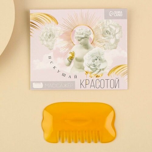 Расческа-скребок гуаша Искушай красотой из смолы цвет не указан 2 штуки 43700₽