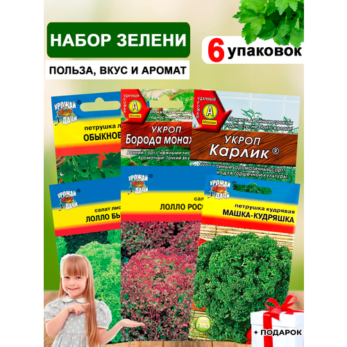 набор семян огород на подоконнике 4 упаковки 2 подарка от продавца Семена укропа, петрушки, салата