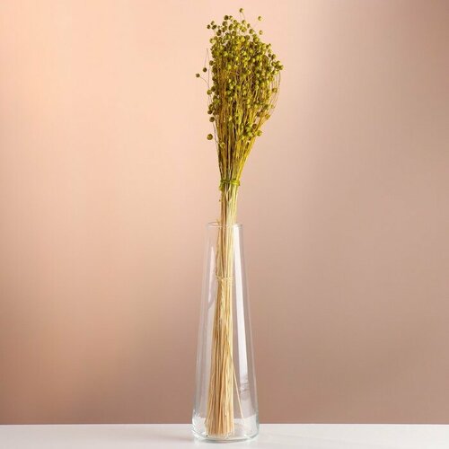 Набор сухоцветов Лён-долгунец банч длина 55-60 - 6 см зелёный 499₽