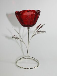 Основная фотография от вендора