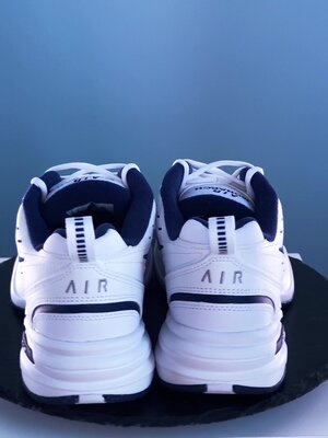Air monarch blue deals