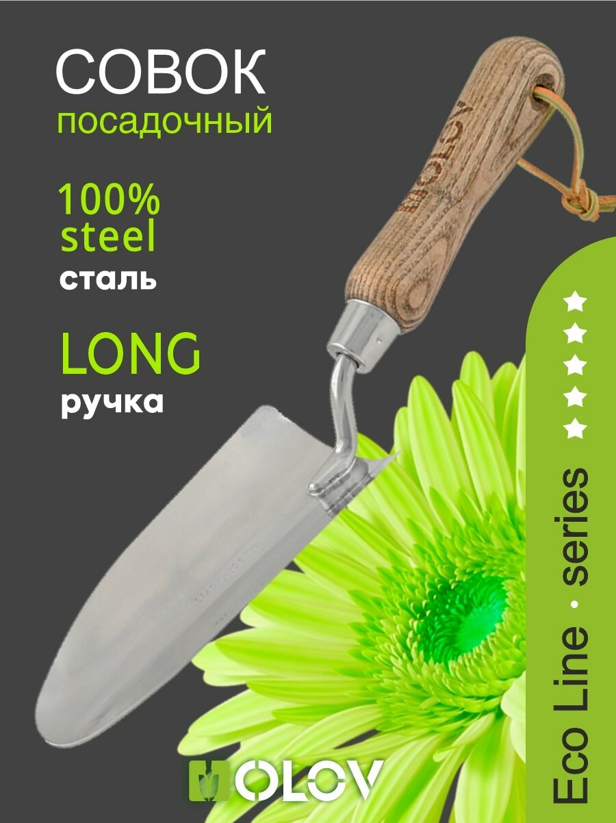 Совок садовый посадочный нержавеющая сталь с деревянной ручкой  OLOV Эколайн   31 5х8 5