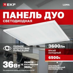 Светодиодная панель 36Вт 6500K 3600Лм опал 595x595мм IP20. Светильник потолочный армстронг универсальный LED LUMA холодный белый; EKF (ДВО) ДУО-4104-L
