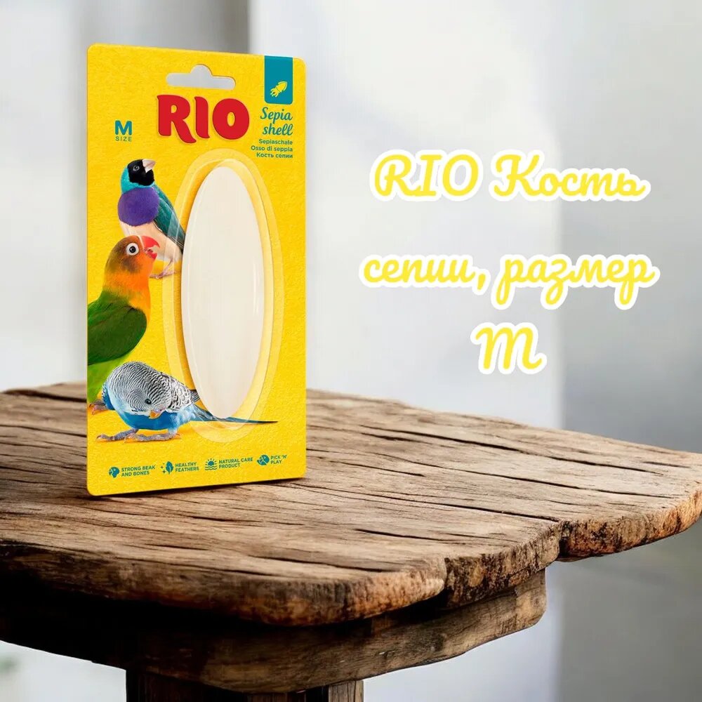 Кость сепии размер М