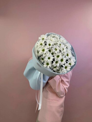 Изображение товара Нежный Моно букет из 5 белоснежных хризантем в нежном дизайнерском оформлении с атласной лентой