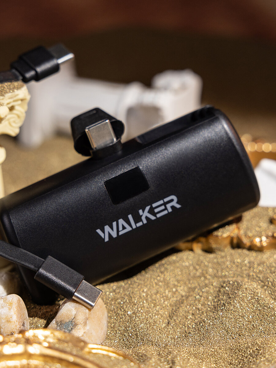 Варианты оплаты заказа с повербанком