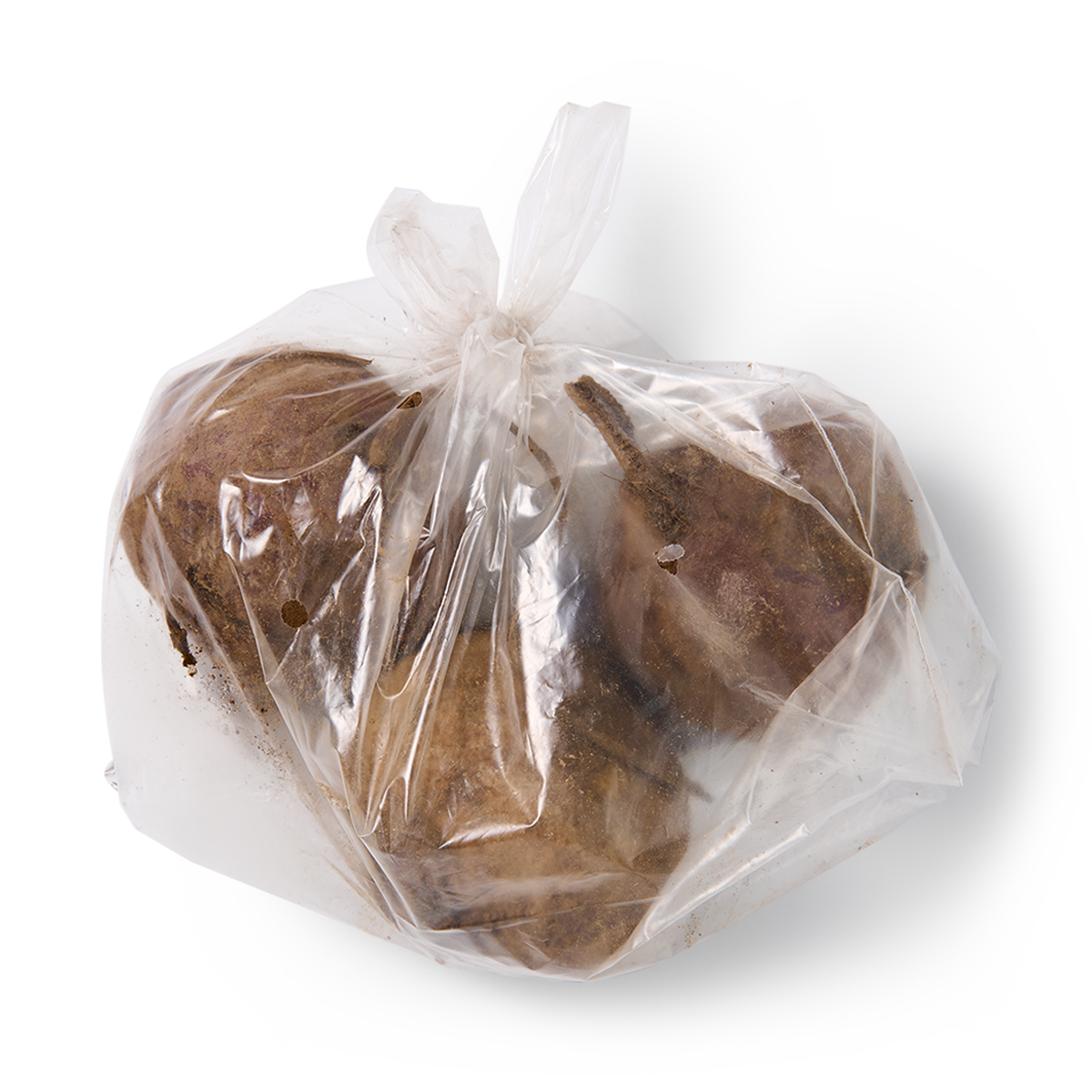 Свёкла свежая, вес нетто 500 гр, условия хранения: от 0 °C до +25 °C, диаметр от 5 см — фото 1