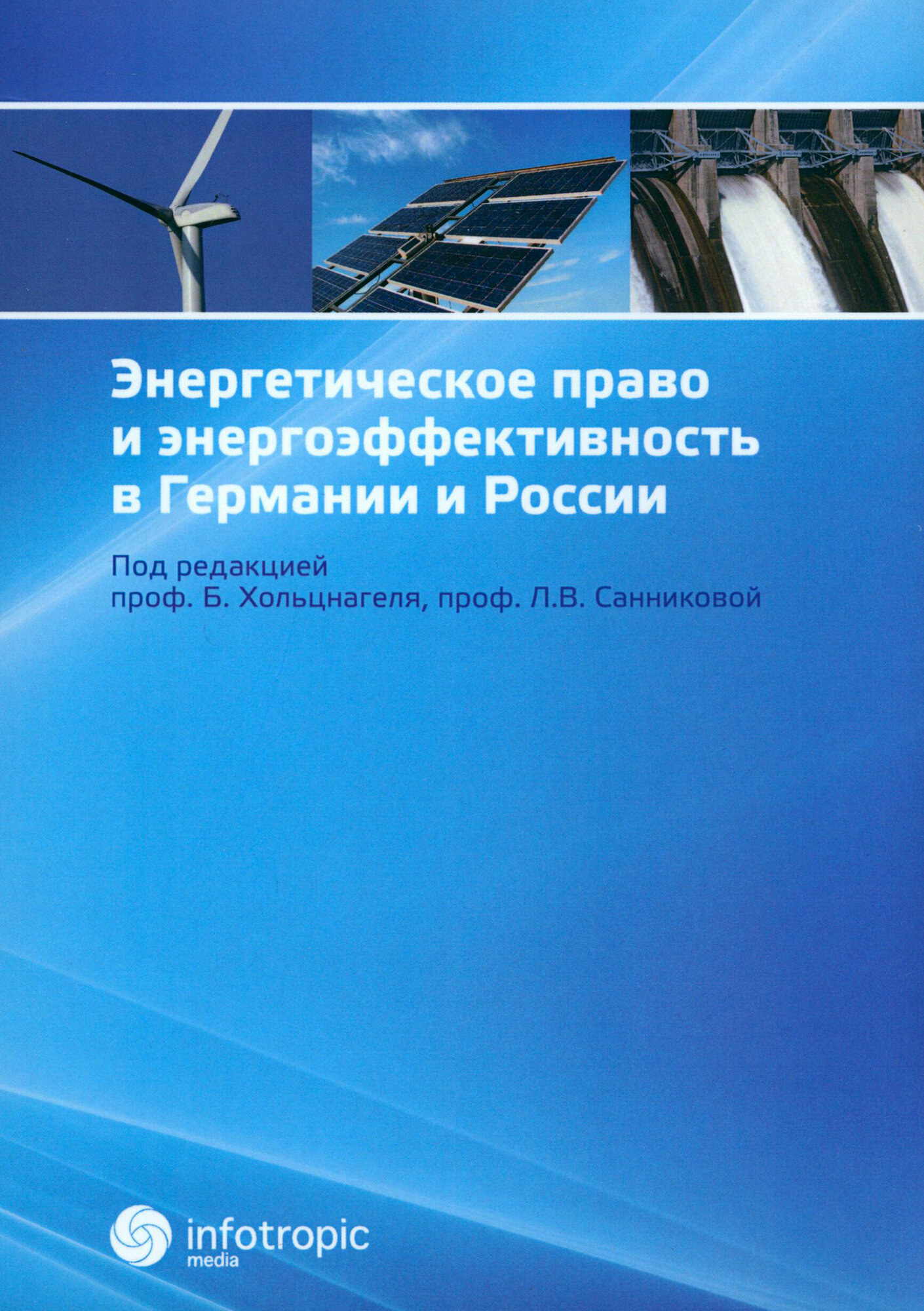 Энергетическое право и энергоэффективность в Германии и России - фото №3