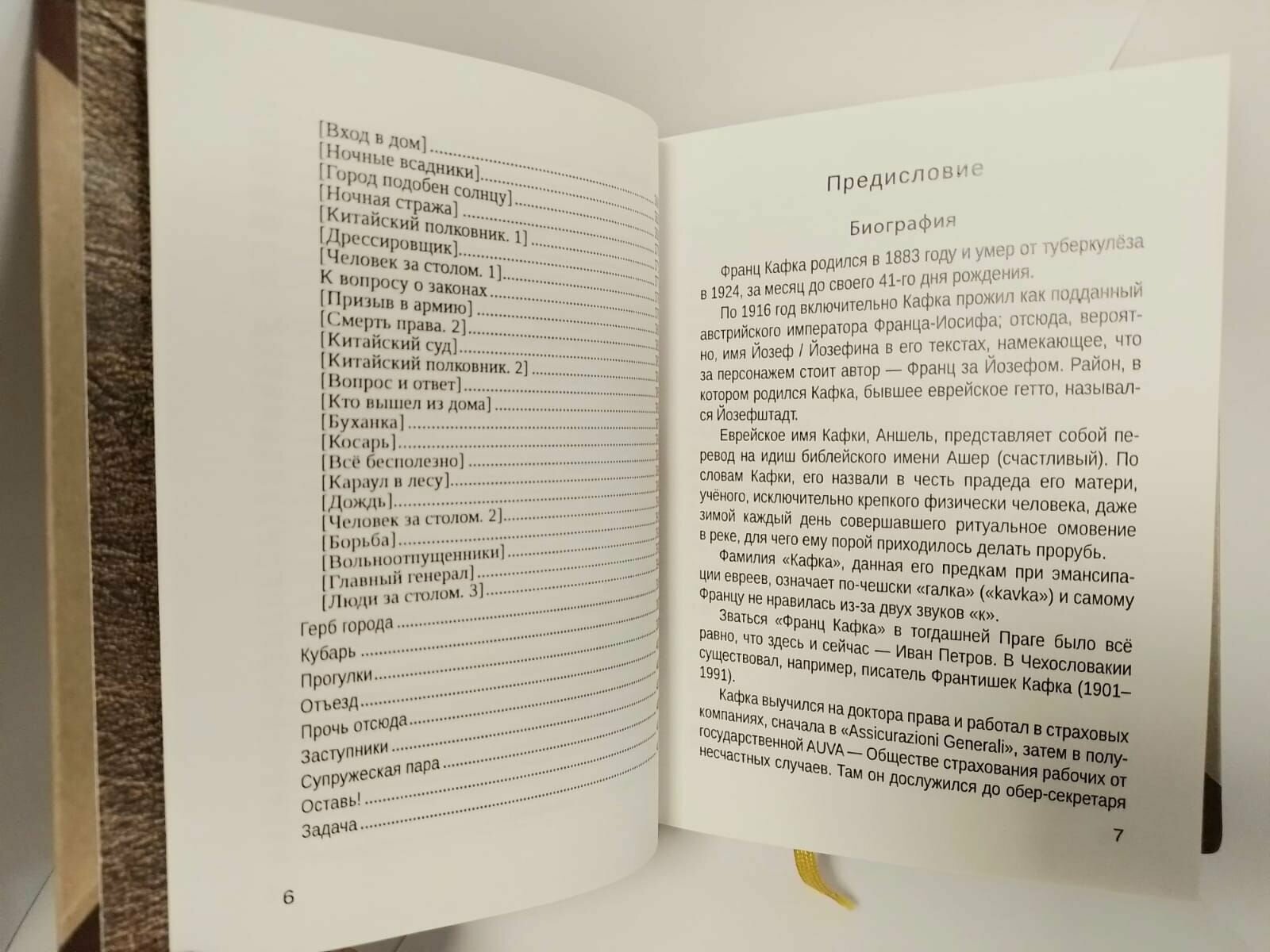 Оставь Рассказы повесть дневниковые записи фрагменты рукописей - фото №8