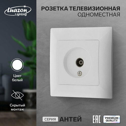 Розетка телевизионная одноместная Luazon Lighting Антей, скрытая, белая