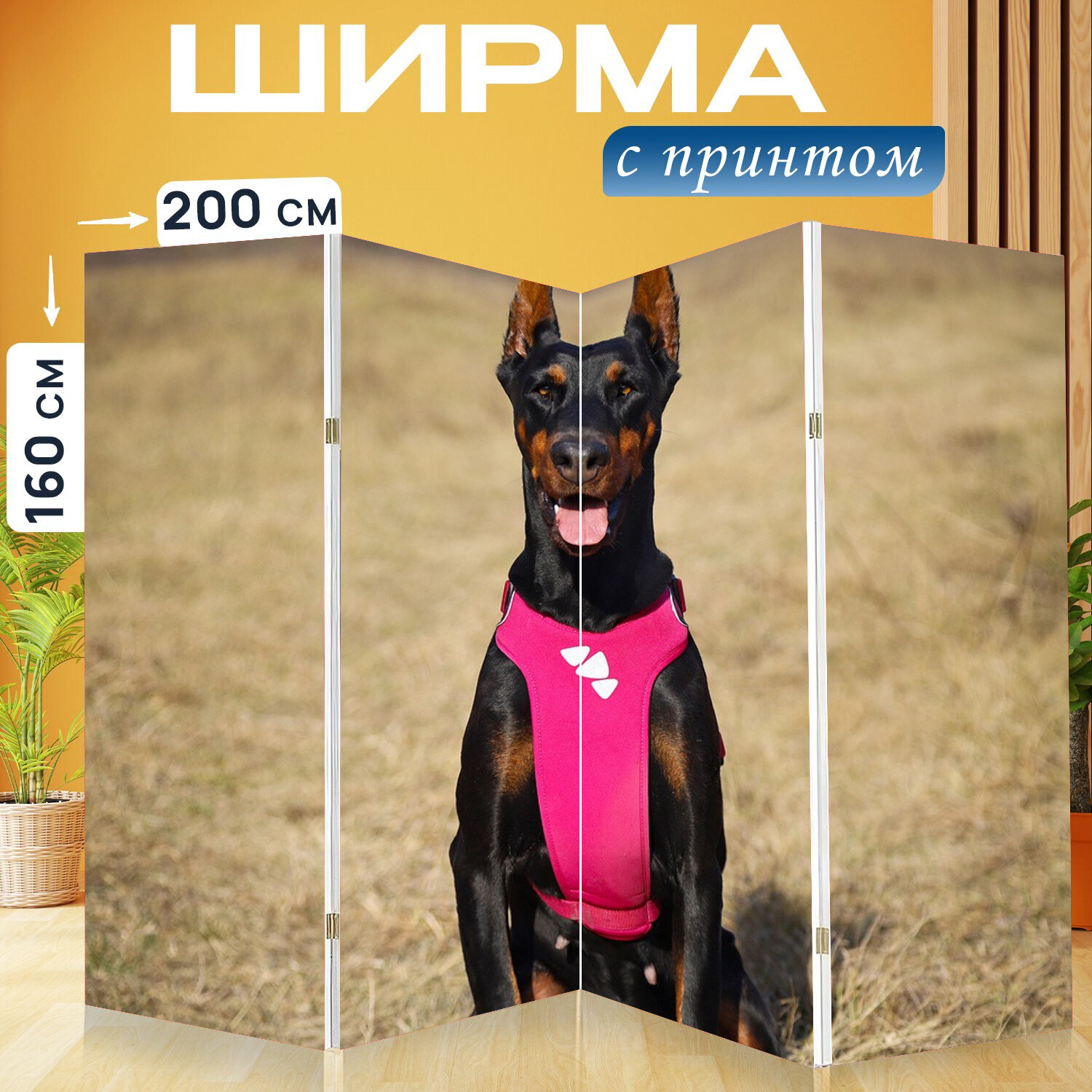 Ширма перегородка с принтом "Доберман, черный, собака" на холсте - 200x160 см. для зонирования, раскладная