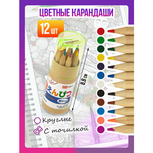 Набор цветных карандашей в тубусе с точилкой / Карандаш для творчества, заточенный, 12 шт