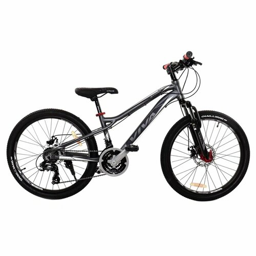 Велосипед горный велосипед VIVA Storm 24 Disc 2023 3644100₽