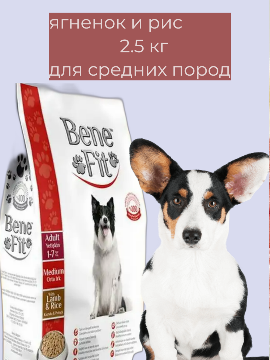 BENEFIT Adult Medium with Lamb & Rice корм сухой для собак средних пород с Ягненком и рисом 2,5 кг