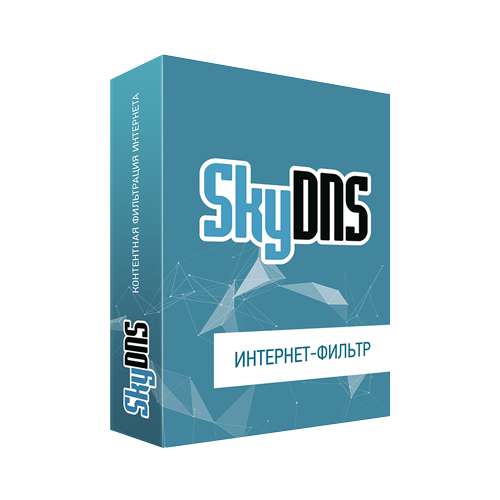 SkyDNS Домашний (лицензия на 1 год)