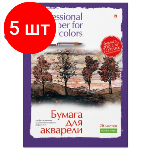 Комплект 5 штук, Папка для рисования акварелью А3.20л, блок гознак 200гр 4-020 дизайн в ассор