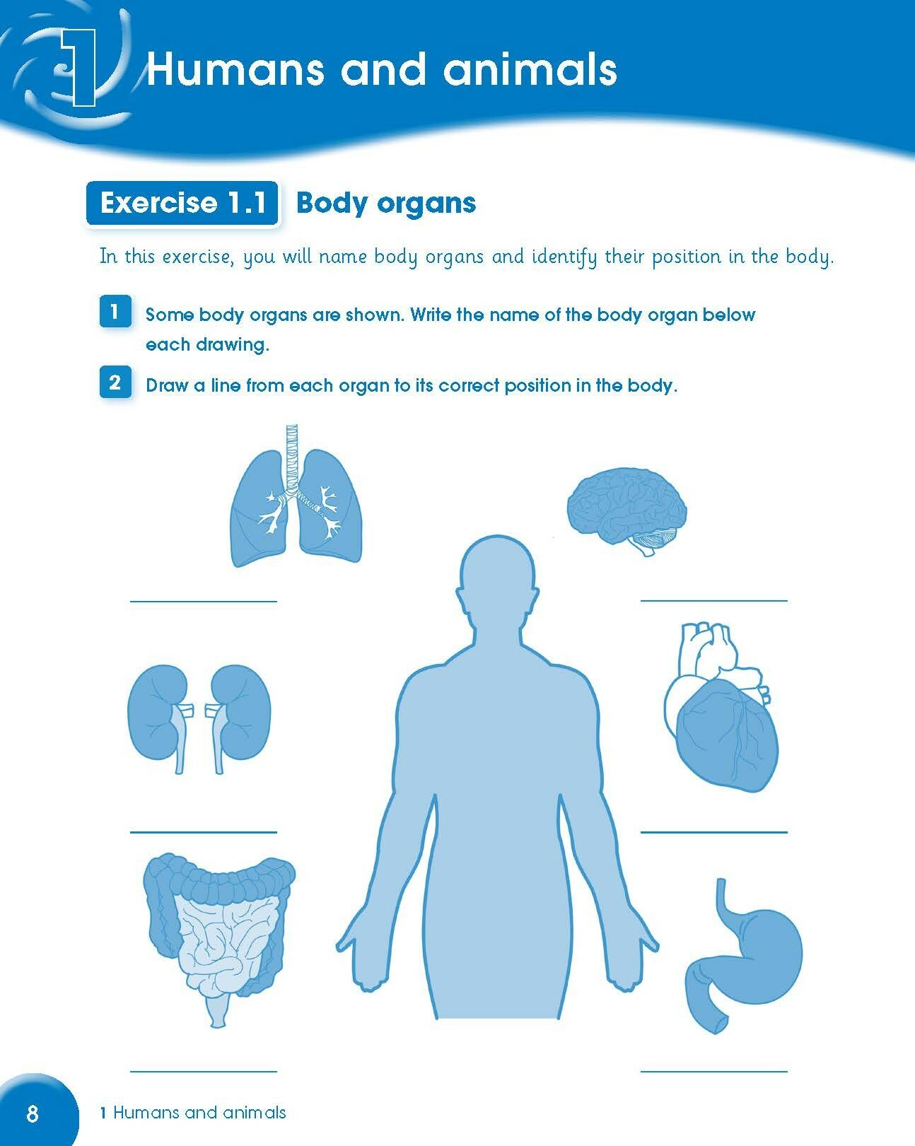 Cambridge Primary Science. Stage 6. Activity Book - фото №9