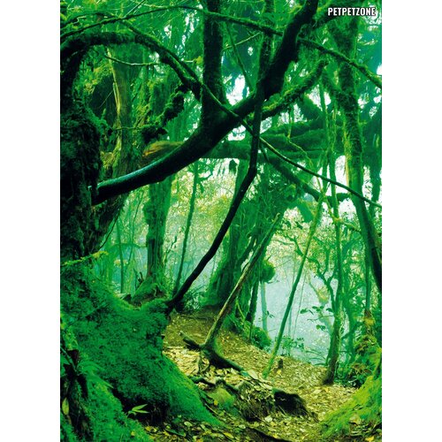 Фон для террариума 