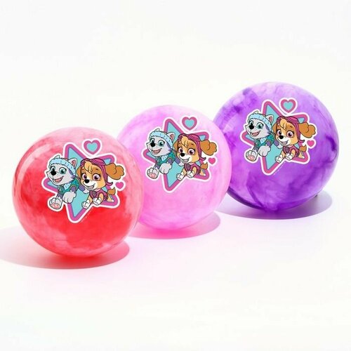 Мяч детский Paw Patrol Скай и Эверест 22 см 60 г мрамор 539₽