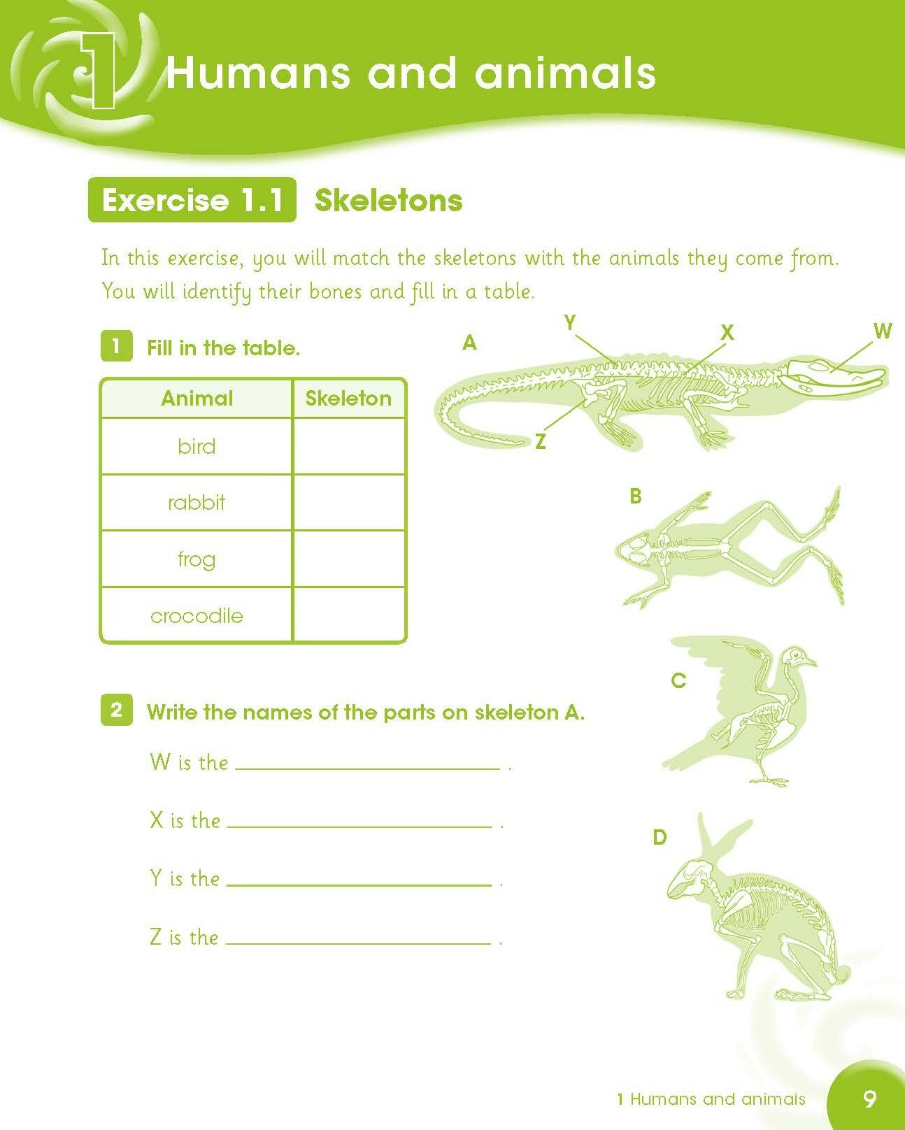 Cambridge Primary Science. Level 4. Activity Book - фото №10