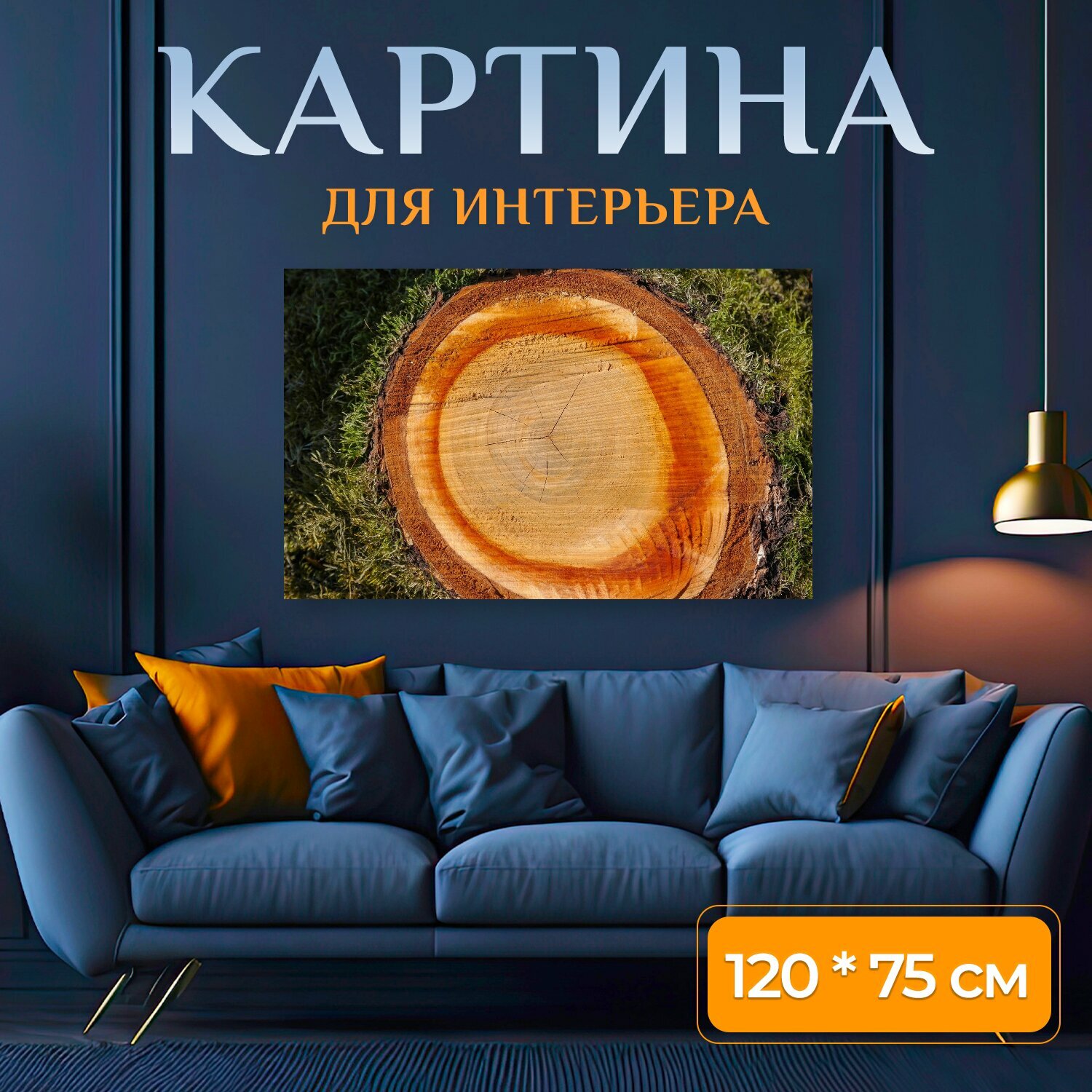 Картина на холсте "Древесина, ствол дерева, годовые кольца" на подрамнике 120х75 см. для интерьера