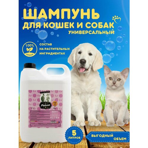 Шампунь Petuxe мандариновый без соли