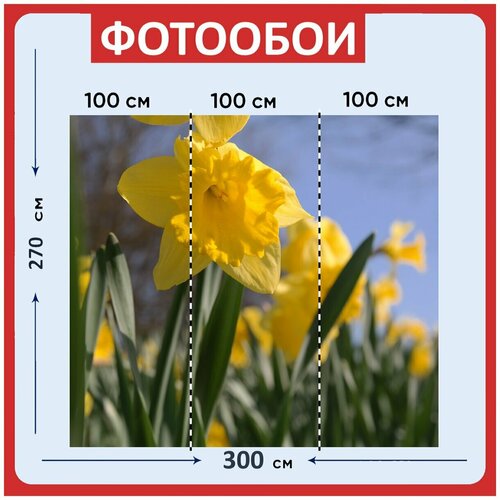 Фотообои Пасхальный колокол желтый цветок 300x270 см флизелиновыена стену 3950₽