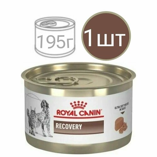 Влажный корм для кошек и собак , Royal Canin Recovery , в период восстановления после операции (1шт по 195г)