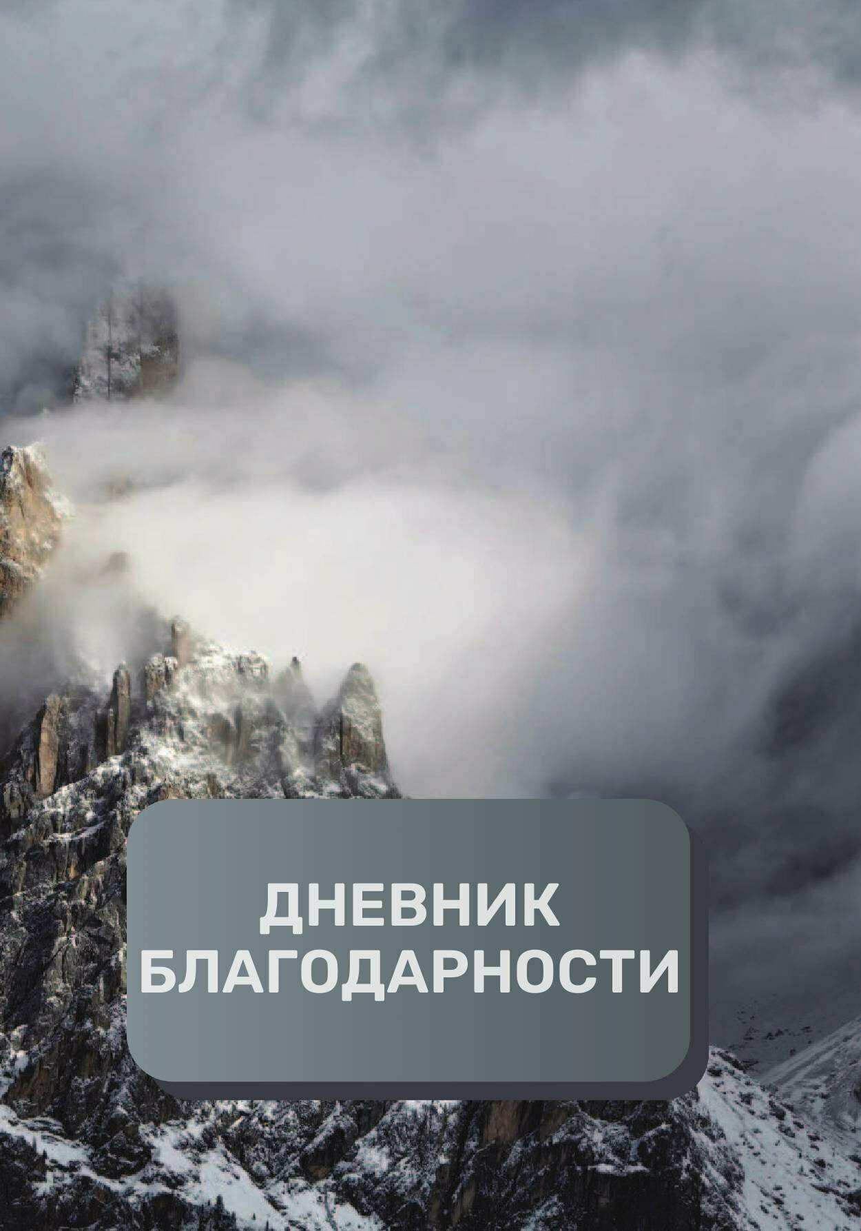 Дневник благодарности, премиум (подарочное) издание, 300 страниц